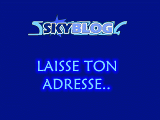 LAISSE TON  DOMAINE  OU SKYBLOG  ICI